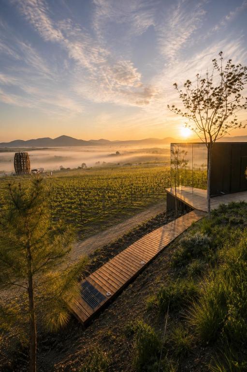 a building next to a field with the sun setting at Glamping Domik Tokaj in Malá Tŕňa