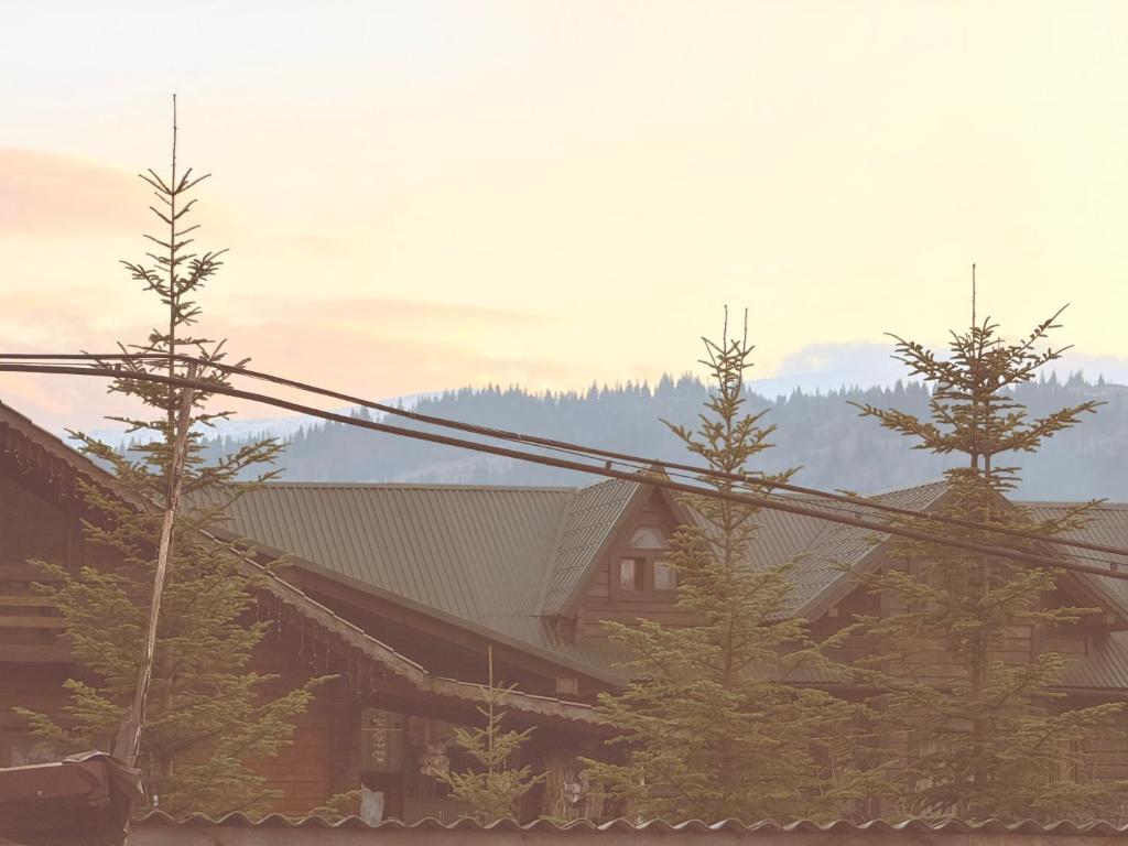 Forest House фото 6
