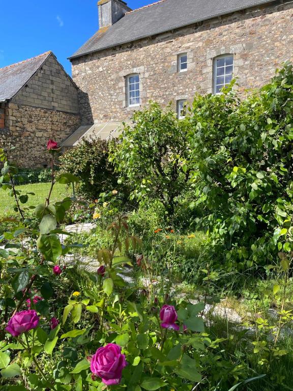 a garden in front of a brick building with roses at Kerannie in Lanvollon