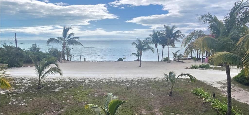 Gallery image of Aqua-holic in South Bimini