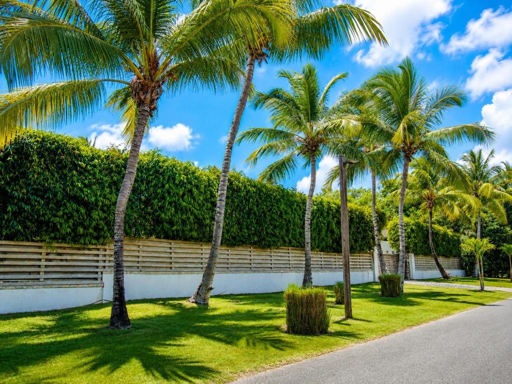 a row of palm trees in front of a fence at Miara - Celebrity villa in Casa de Campo! in La Romana