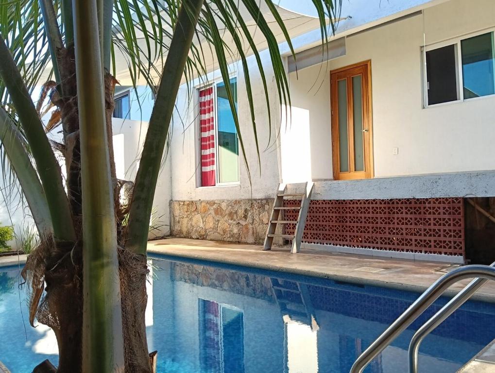 a house with a palm tree next to a swimming pool at Casa Marbo in Malucano