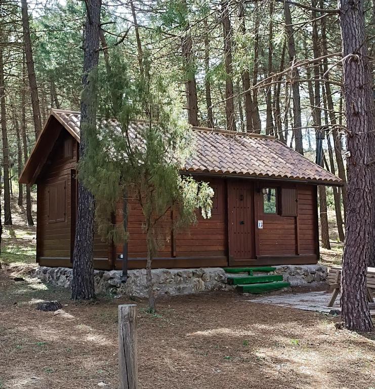 a small wooden cabin in the woods at La cabaña de Magui in Riópar