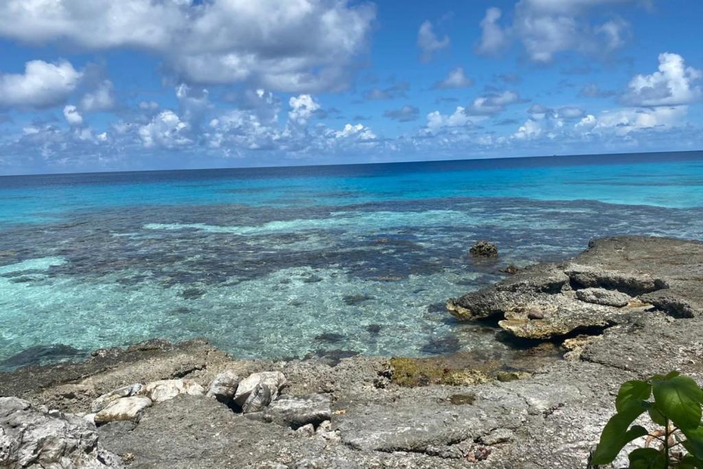Fare Miki Miki - photo 2 - Rangiroa, Polynésie