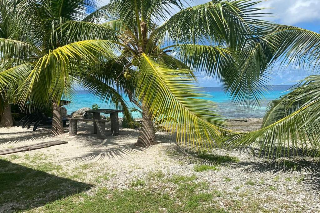Fare Miki Miki - photo 4 - Rangiroa, Polynésie