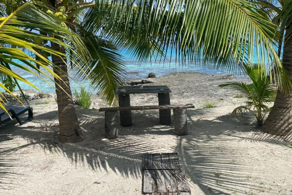 Fare Miki Miki - photo 5 - Rangiroa, Polynésie