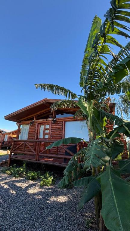 a log cabin with a palm tree in front of it at Cabañas Punta Arena in San Pedro