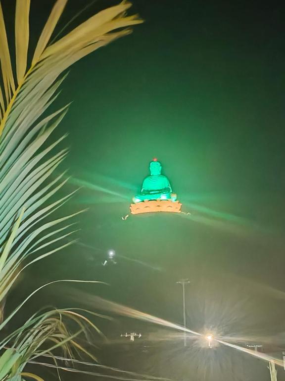 a green traffic light at night with a palm tree at H Vy Homestay in Phương Phi