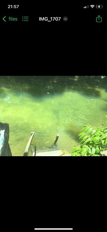 a screenshot of a video of a body of water at Rancho ABA DO BETIONE in Bodoquena