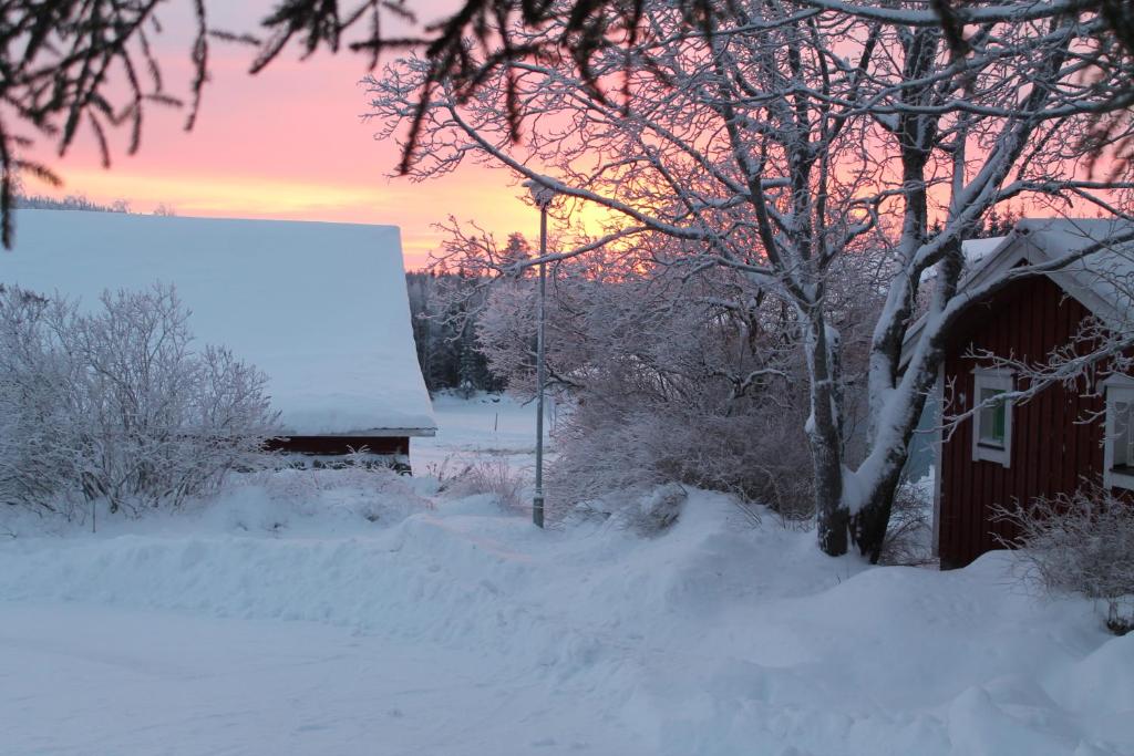Το Maatilamatkailu Jänisvaara τον χειμώνα