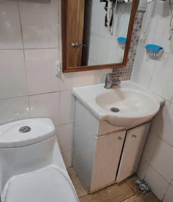 a bathroom with a sink and a toilet and a mirror at Casa hospedaje en el campo in Temuco