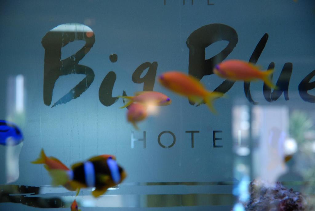 The Big Blue Hotel - Blackpool Pleasure Beach - Resim 38
