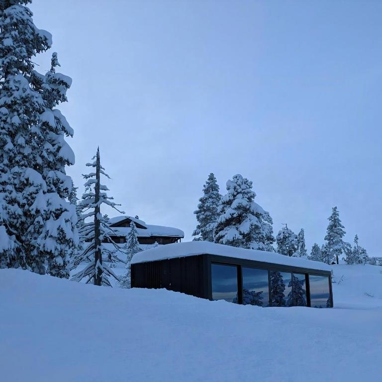 a glass house in the snow in the woods at Modern Cabin By Snøhetta At Blefjell in Svene