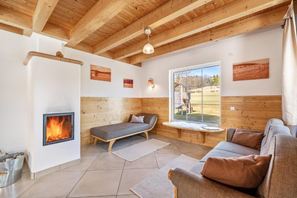 a living room with a fireplace and a couch at Ferienhaus Geyerbad mit Sauna in Meßstetten