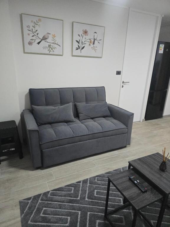a living room with a couch and a table at Apartamento Céntrico y Equipado in Concepción