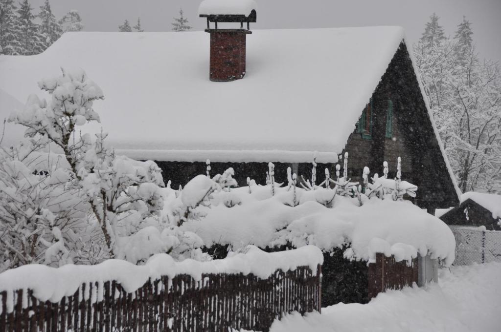 Holzhaus in Hinterstoder talvel