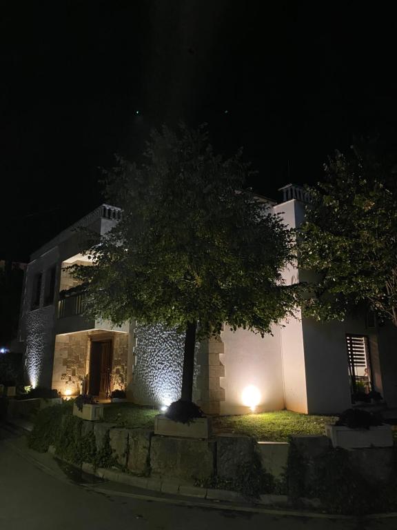 a building with a tree in front of it at night at Oda Kuksit Hotel in Kukës