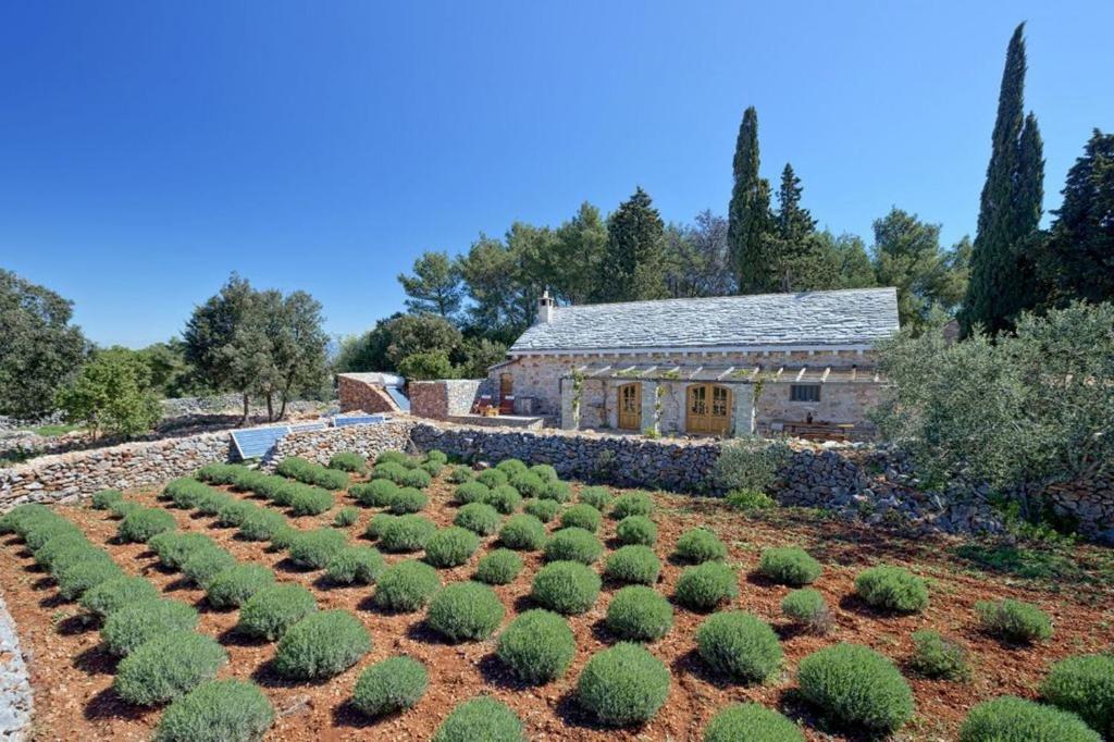 a garden ofxus spheres in front of a building at Villa Humac Hvar in Poljica