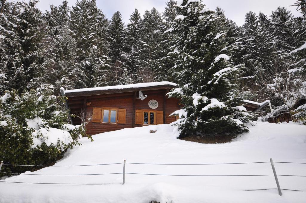 Chalet Edelweiss v zimě