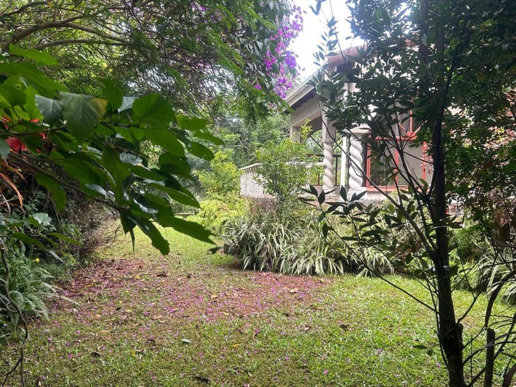 a garden with a house and some plants at 46 Minerva Avenue in Pennington