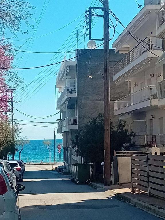 Andy's apartments