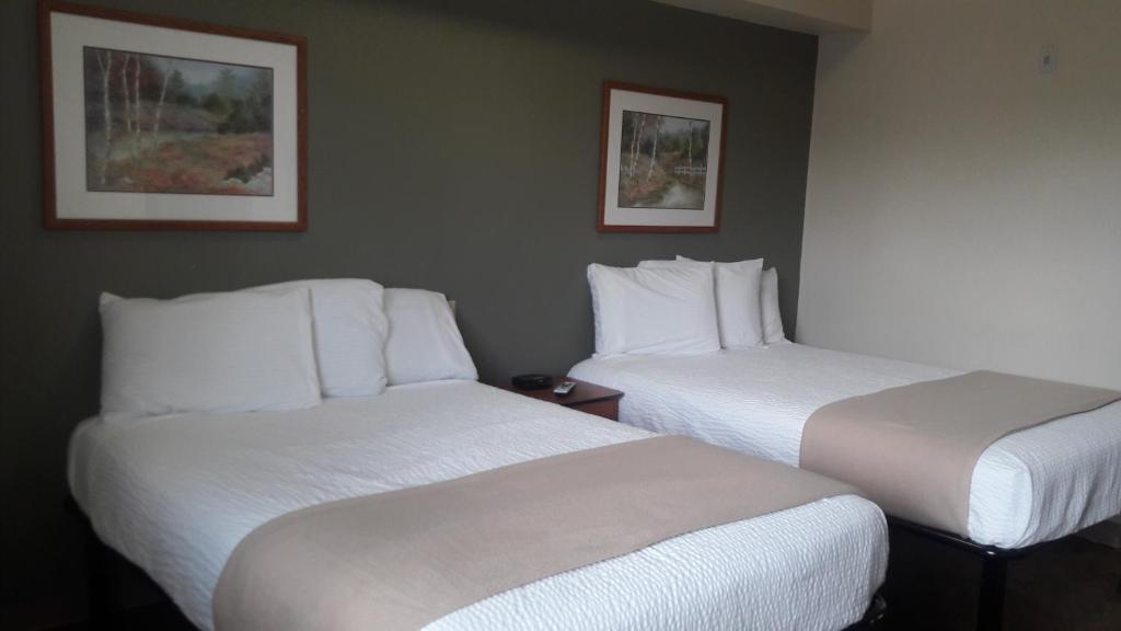 Best Studio Inn Homestead (Extended Stay) - Studio (3 Adultes)