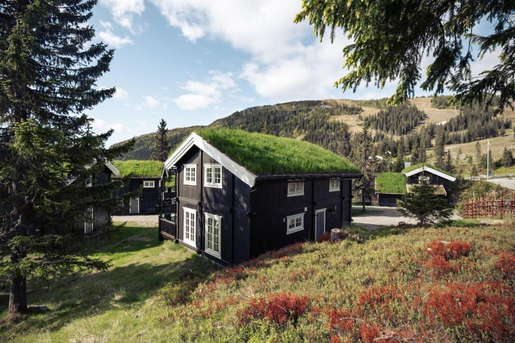 a house with a grass roof on top of a hill at Hytter og leiligheter i Kvitfjell - Alpinco in Ringebu