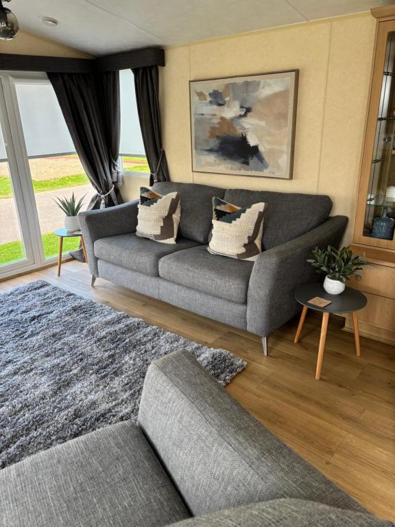 a living room with a gray couch and a rug at Number 51 in Arbroath