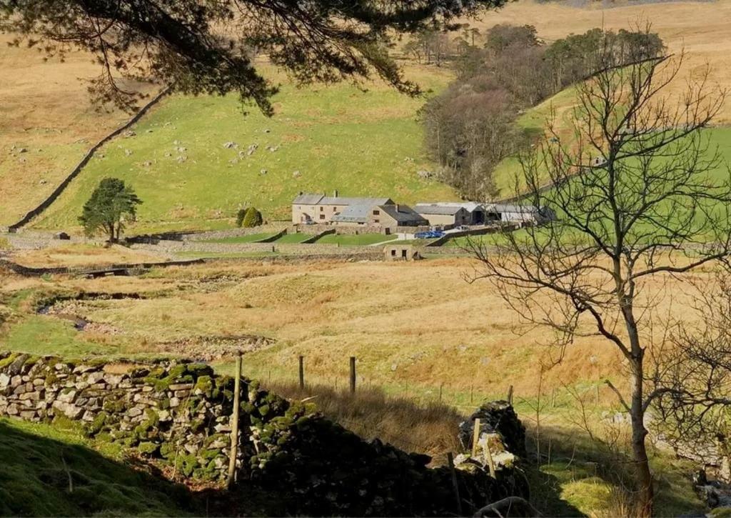 a farm in a field with a stone wall at The Sheep Barn in Weathercote