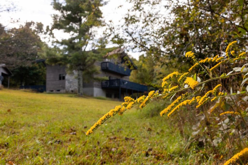 a field with yellow flowers in front of a house at 168 Secluded Acres Trails, Winery 5BR in Floyd