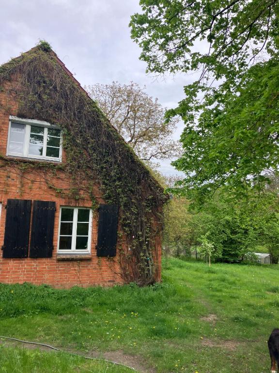 a brick house with ivy growing on the side of it at Haus Prälank in Neustrelitz