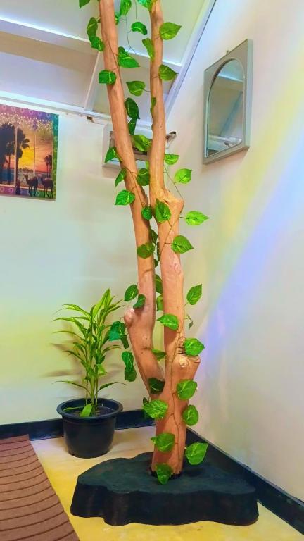a fake tree with leaves on it in a room at Ella Kumi Wood Cabin in Ella