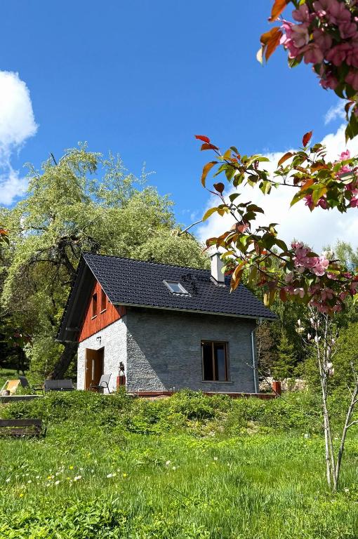 a house with a black roof on a green field at Agroturystyka Monte Luna - domki in Czarnów