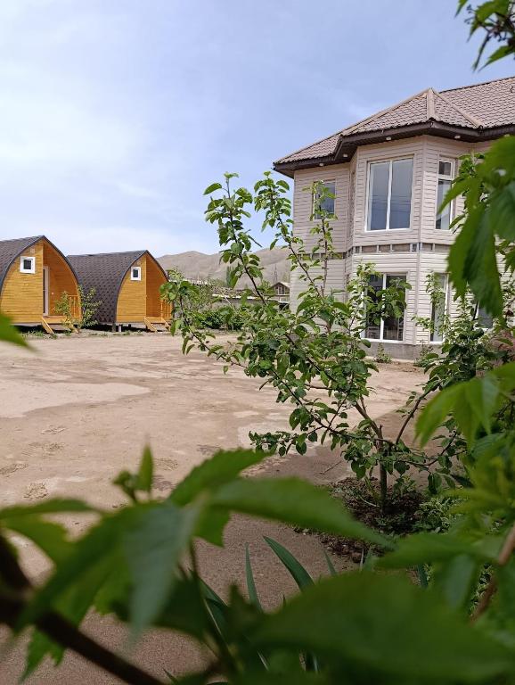 a house with a tree in front of it at Arzu Guesthouse in Ak-Say