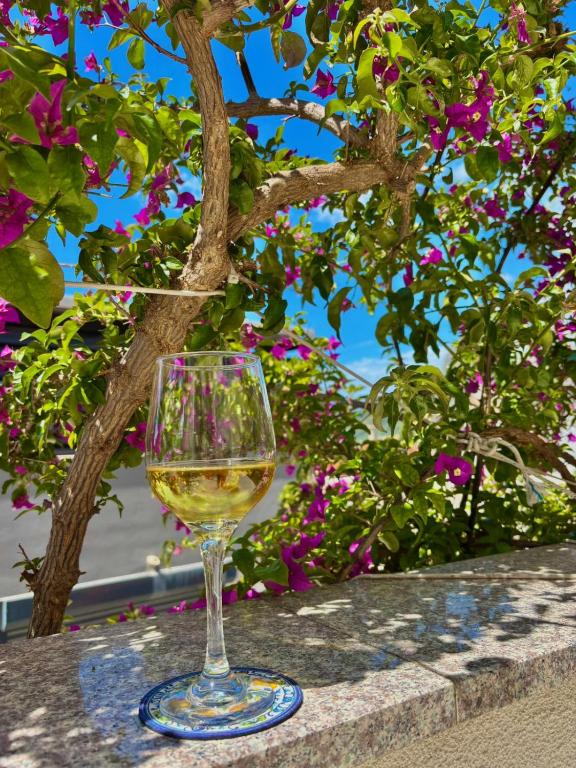 a glass of white wine sitting in front of a tree at Apartments Adriatic Nest in Omiš