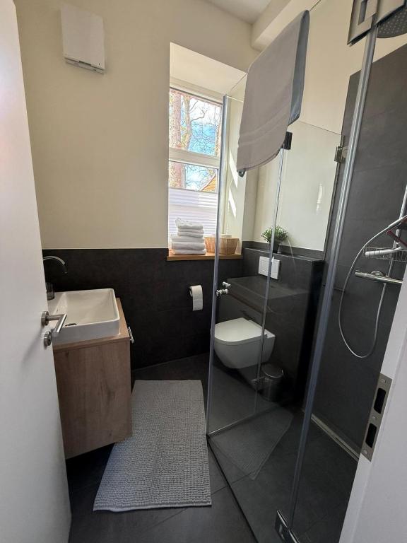 a bathroom with a shower and a toilet and a sink at FiO Ferienhäuser - Ferien in Ohne in Ohne