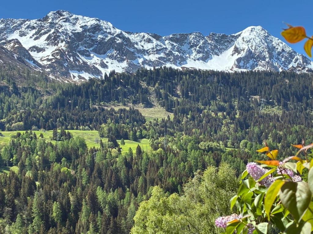 a mountain valley with trees and snow capped mountains at Mountain spot in a cozy nest in Airolo