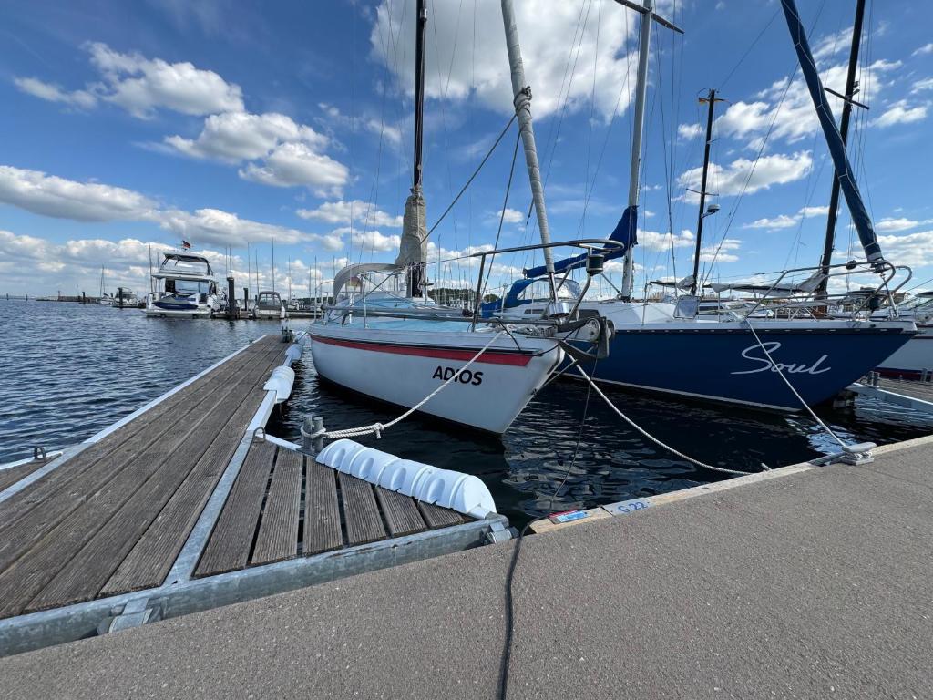 two boats are docked at a dock in the water at Schlafplatz mit Meerblick in Kühlungsborn