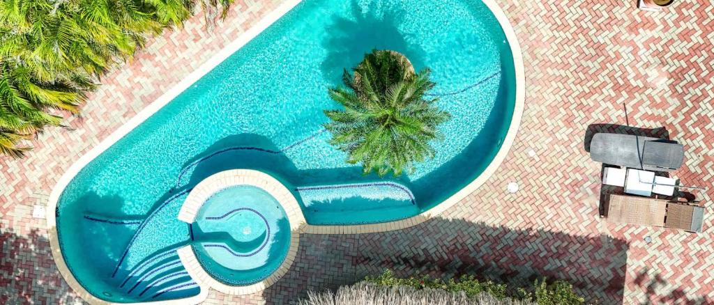 an overhead view of a swimming pool with a palm tree at Wayaca Mini Resort in Willemstad