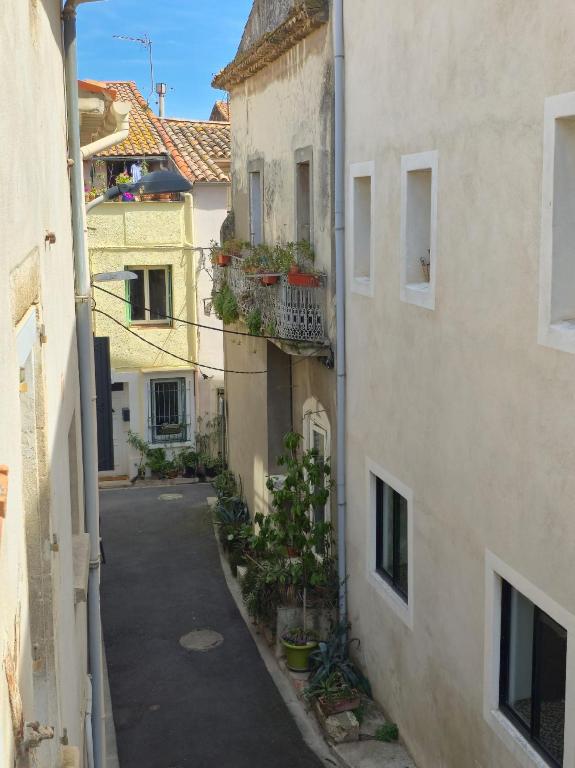 an alley between two buildings with plants on the side at Chez Anna et Mat in Sérignan