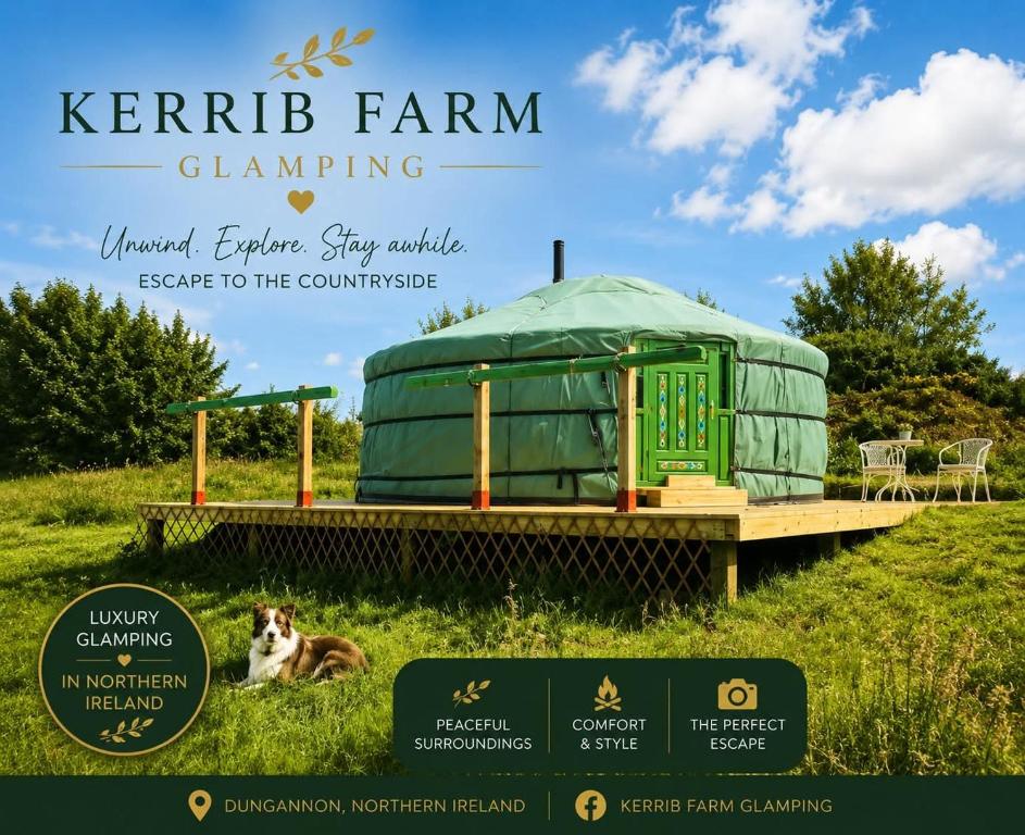 a green yurt with a dog laying in the grass at Kerrib Farm in Pomeroy