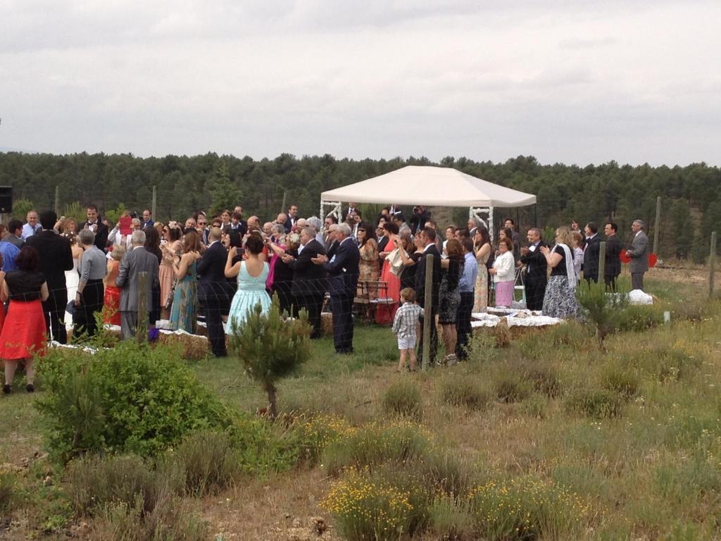 a large crowd of people standing in a field at Quinta del Quinoto in Pajares de Adaja
