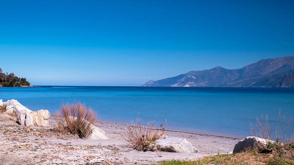 a beach with blue water and mountains in the background at Alta Suarella in Saint-Florent