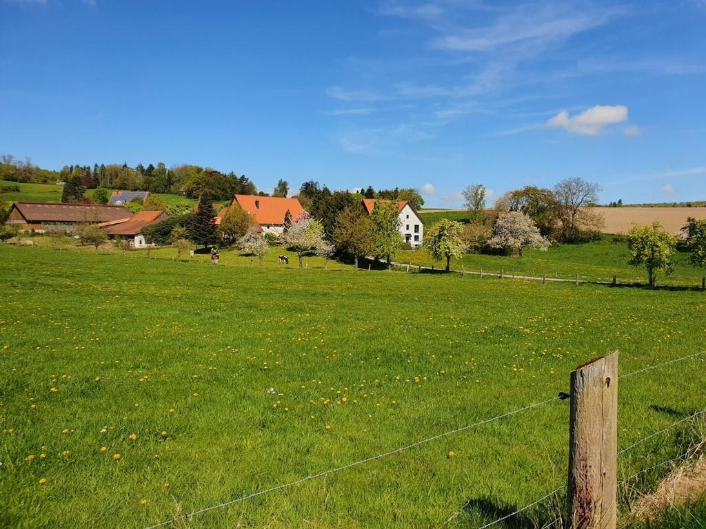 a fence in a field of green grass with houses at Landliebe in Blomberg