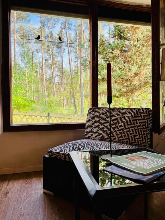 a table and a chair in front of a window at Nature Bungalow in Ferch in Schwielowsee