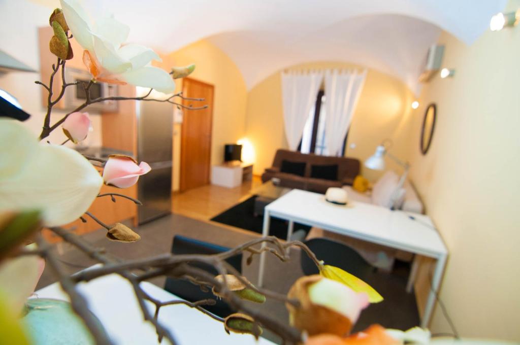 Apartamentos de la Parte Antigua de Cáceres - Deluxe Appartement - C/ Camberos 4