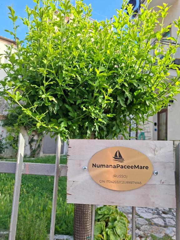a sign in front of a potted plant at NumanaPaceeMare in Numana