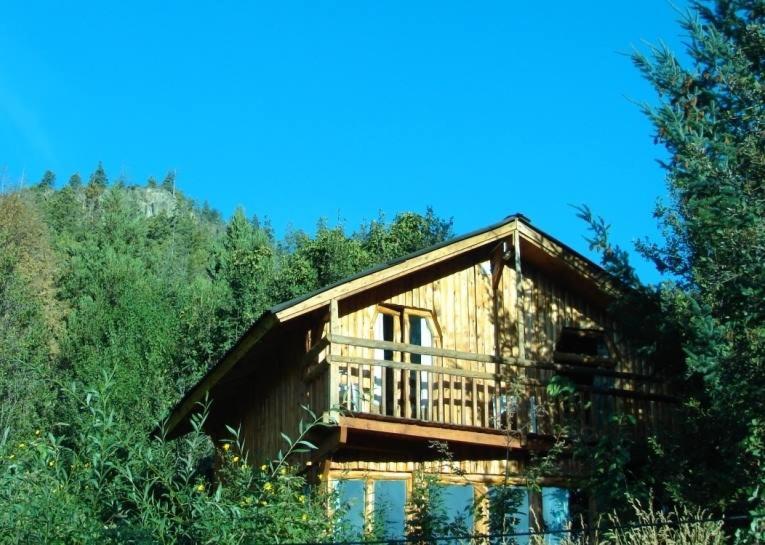 a wooden cabin in the middle of a forest at El Cielo in El Bolsón