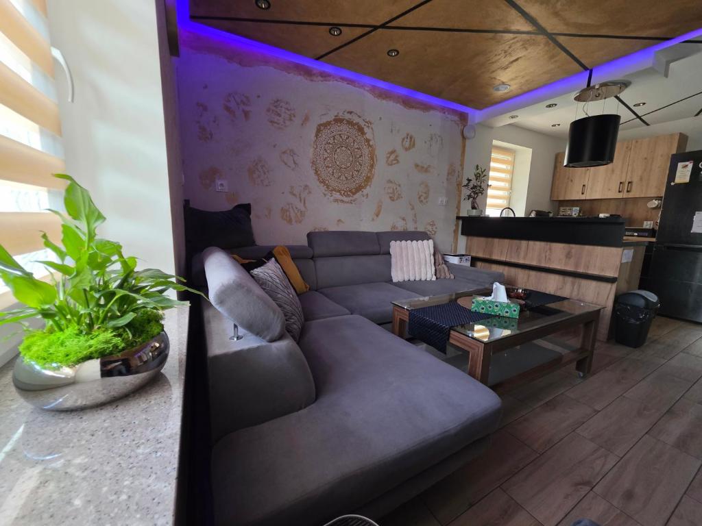 a living room with a couch and a table at Rose in Bielawa
