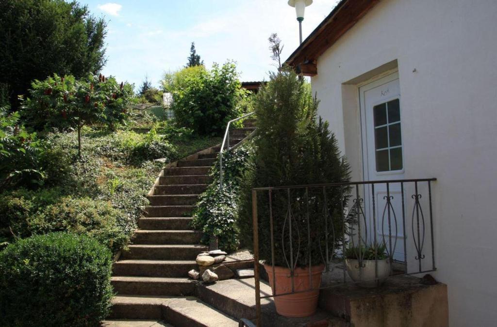 a staircase leading to a house with potted plants at Moselurlaub im Ferienweinhaus Koch in Neumagen-Dhron